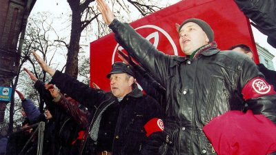 Η δράση των νεοναζί στη Ρωσία: Ρωσική Εθνική Ενότητα